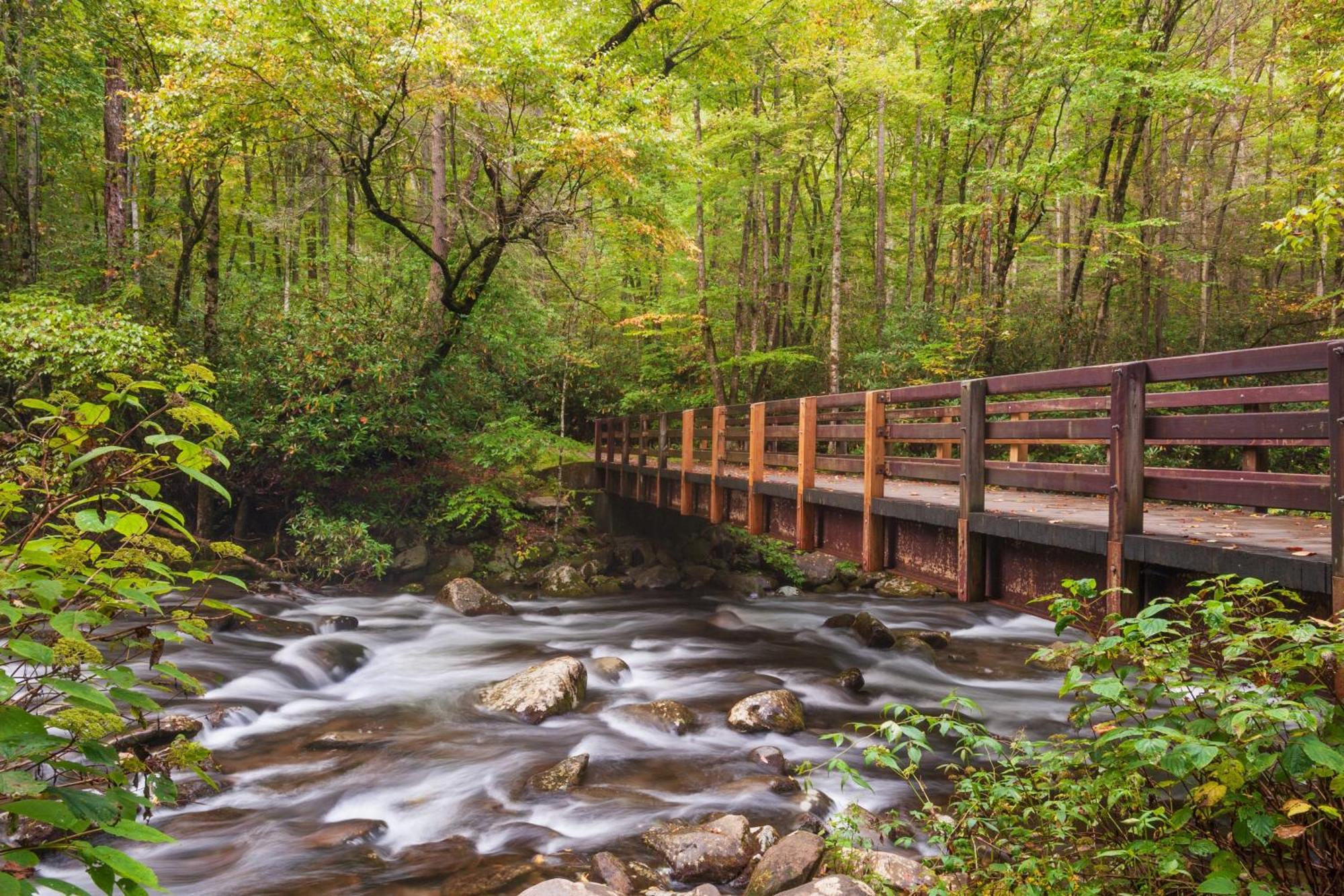 Majestic View Lodge, Amazing Views, Hot Tub, 1089 Free Tickets Each Paid Day, Dollywood And More Gatlinburg Exterior photo
